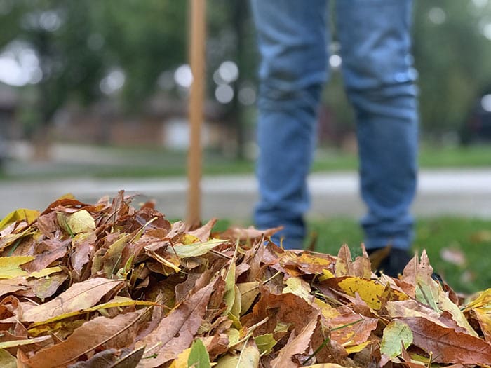 Manage Leaves and More with These Power Tools