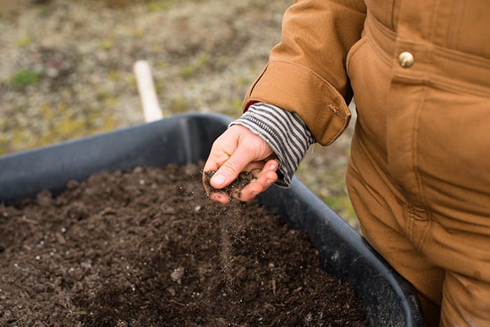 Simple Ways to Build Better Soil and Fight Climate Change