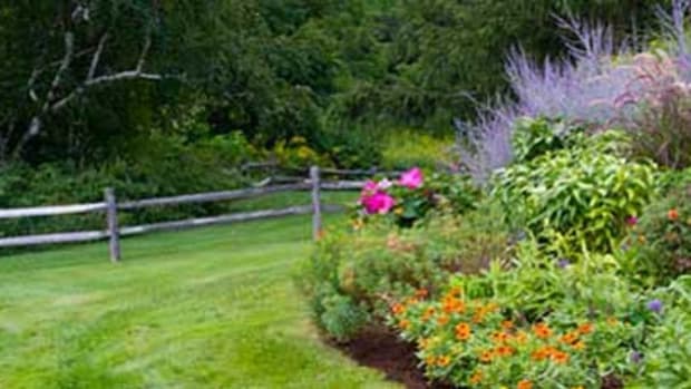 Easy-Summer-Gardening-Chores