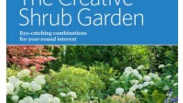 the creative shrub garden