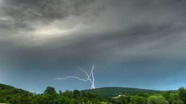 Protect your trees from damaging lightening strikes