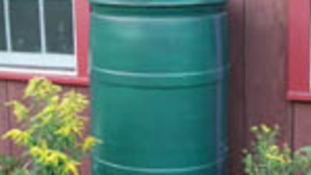 The rainbarrel stores the water for you to use on your lawn and ornamental plants.