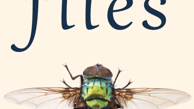 benefits of flies