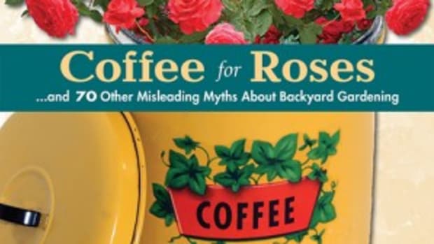 Coffee for Roses