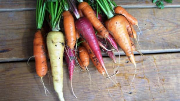 vegetable garden different color carrots