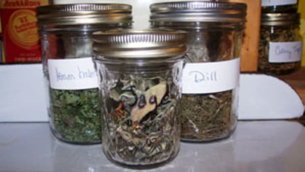 storing herbs