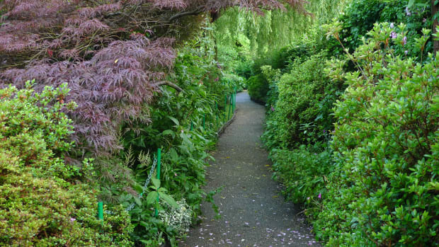 Monet's garden path