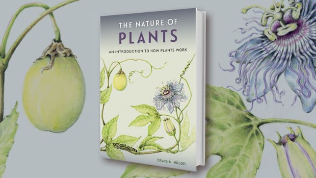 nature of plants book