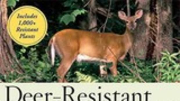 Deer-Resistant Landscaping