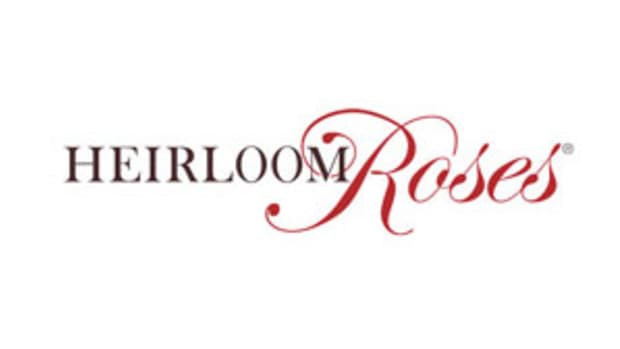 heirloom-roses-revised-logo