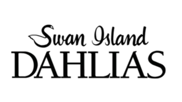 swan-island-logo
