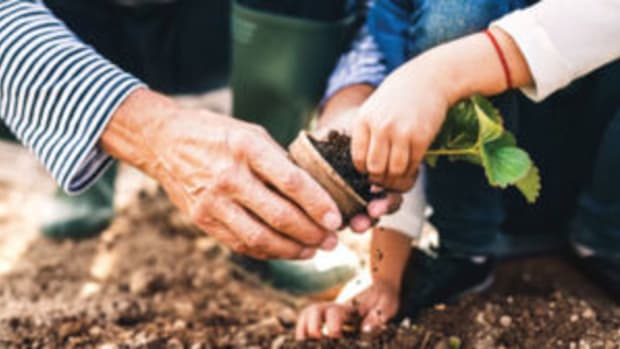 Winter is a good time to set gardening goals for the year. One might be to share time and knowledge in the garden with loved ones, or volunteer for garden-related community projects.