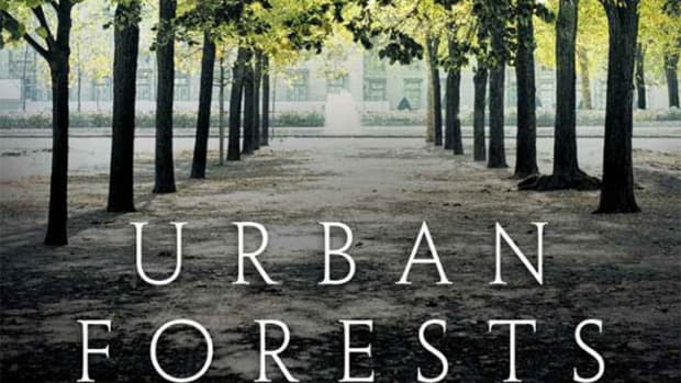 UrbanForestsCover