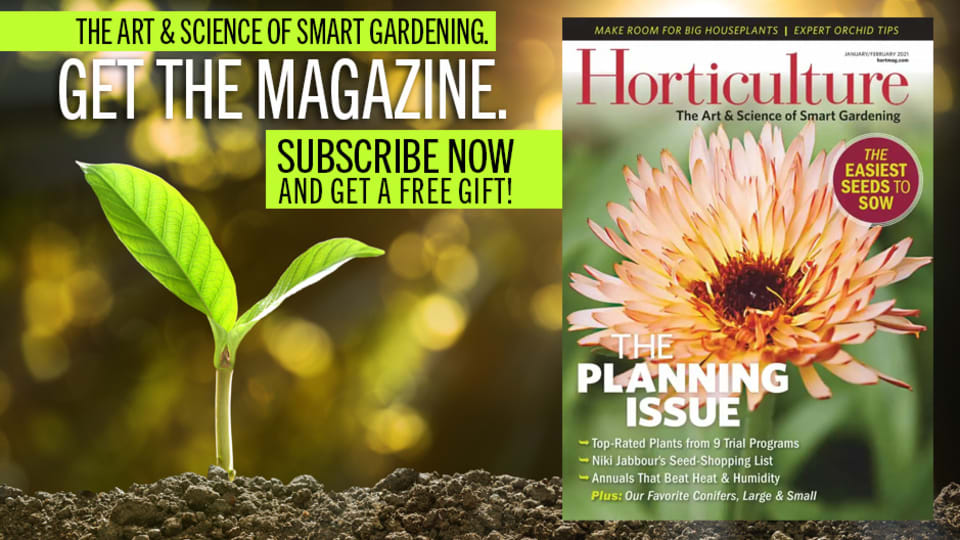 Revista Horticultura muda de endereço