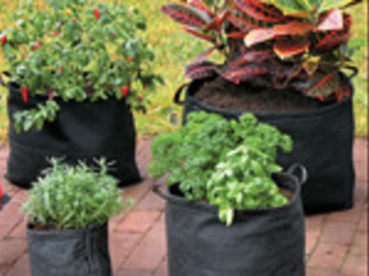 Hippo Rectangle Grow Bag Pots Non Woven for Plants  Gardening Grey Color  6 Pcs Combo Pack3  3 Grow Bag Price in India  Buy Hippo Rectangle Grow  Bag Pots Non