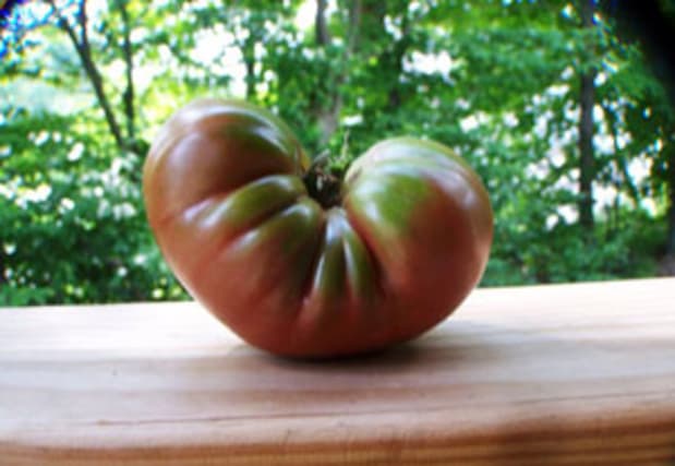 Oxheart Giant Large 2000 Seeds Vegetable Tomato 