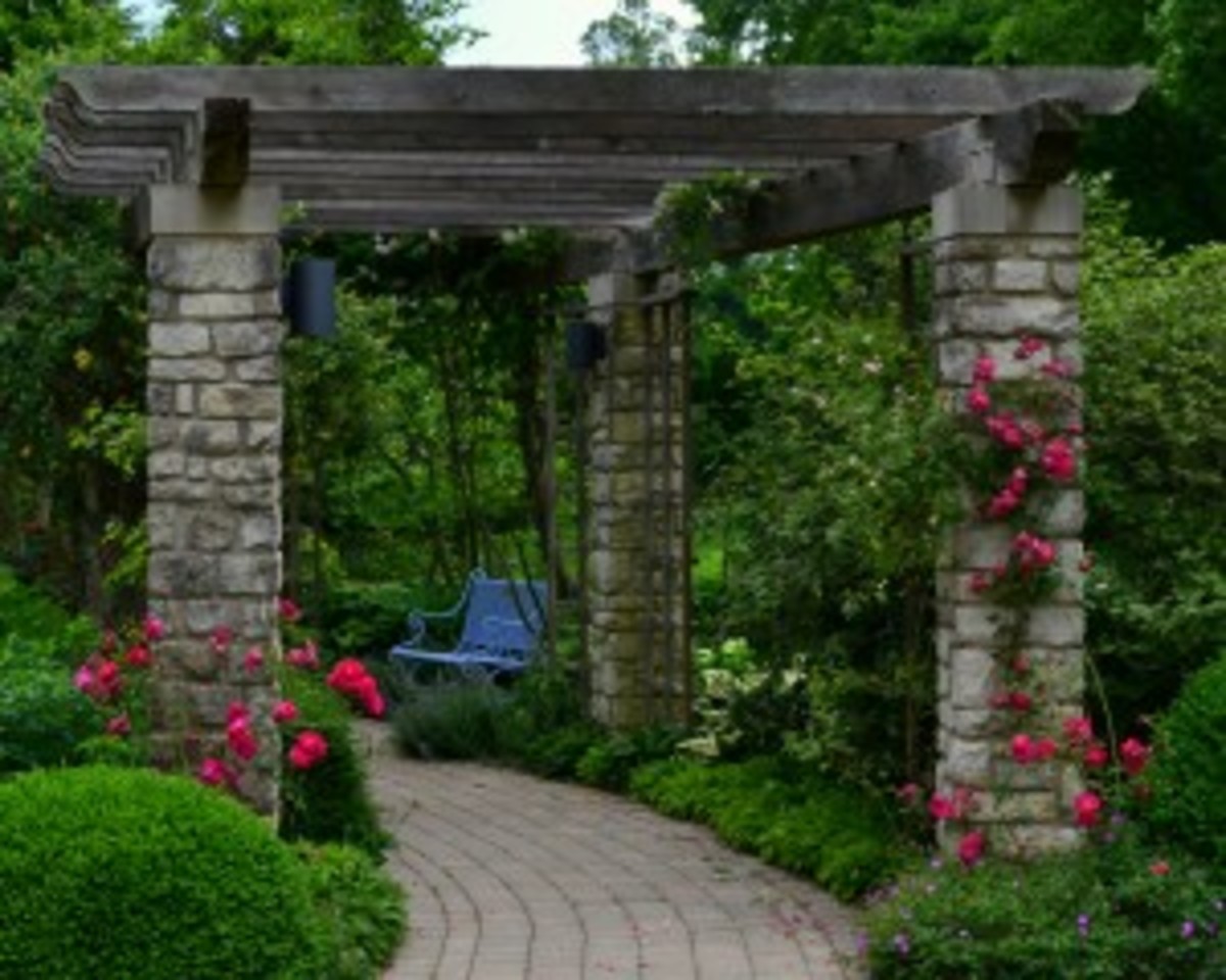 A quiet bench to enjoy the view of the Arbor Garden.