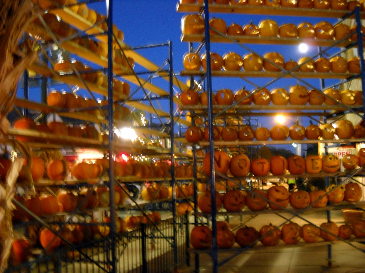 More pumpkins...