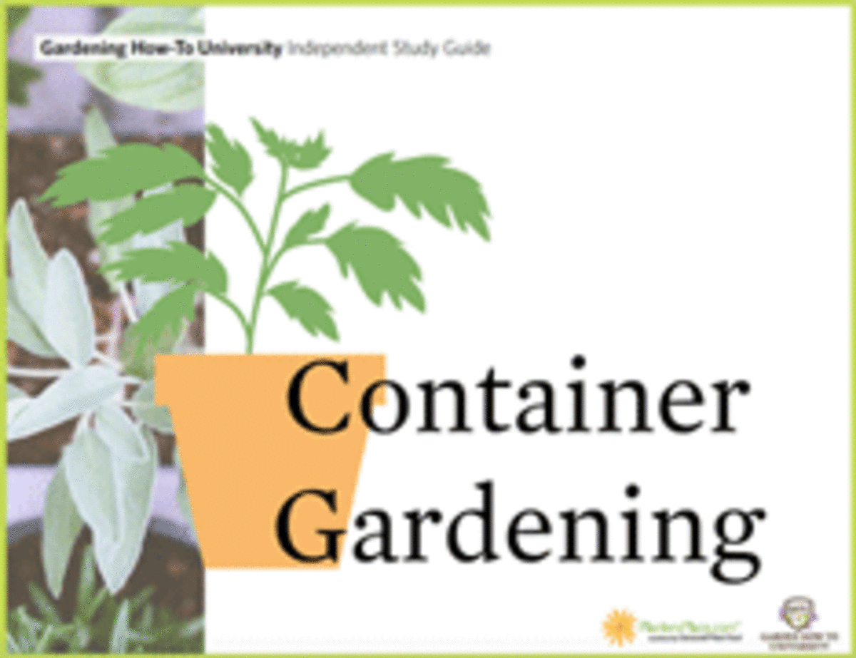 Container Gardening 2016