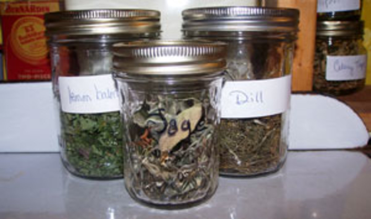 storing herbs
