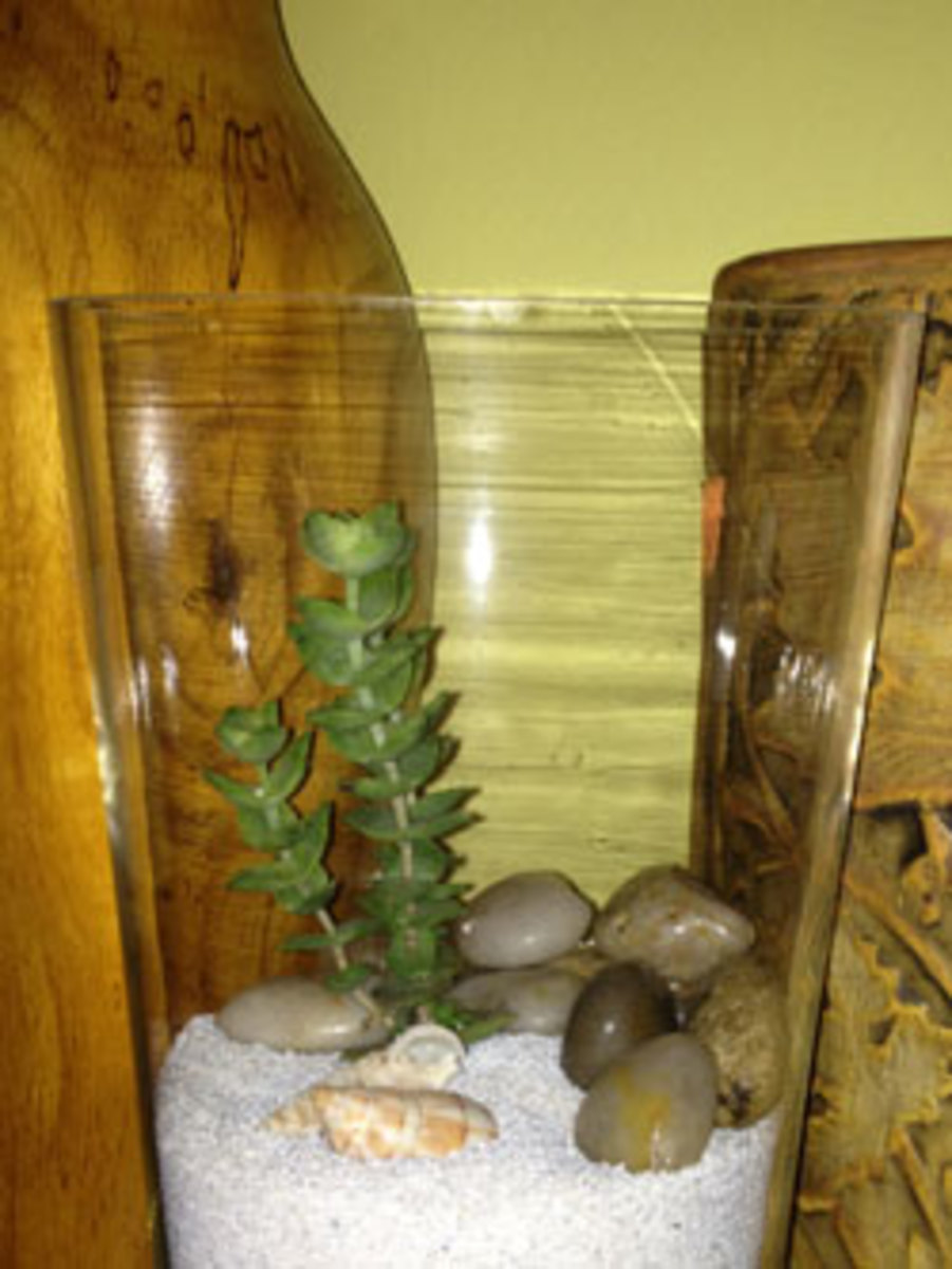 cactus terrarium