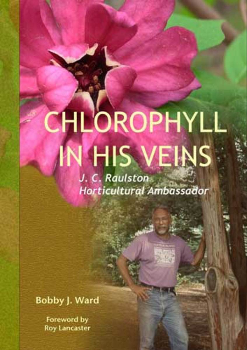 Chlorophyll in His Veins