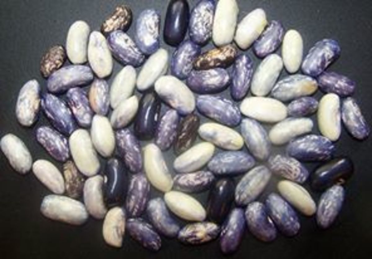 black beans