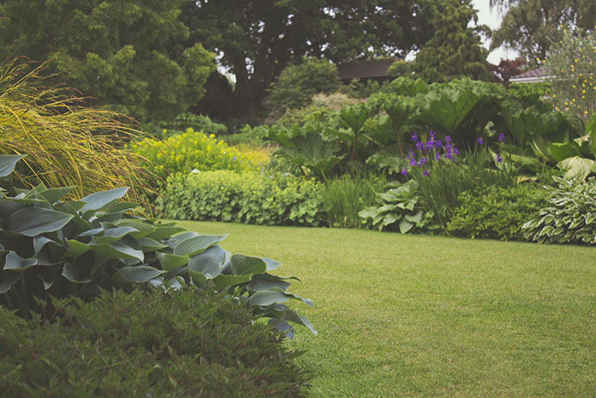Including some lawn areas and blocks of the same type of perennial can reduce overall maintenance time.