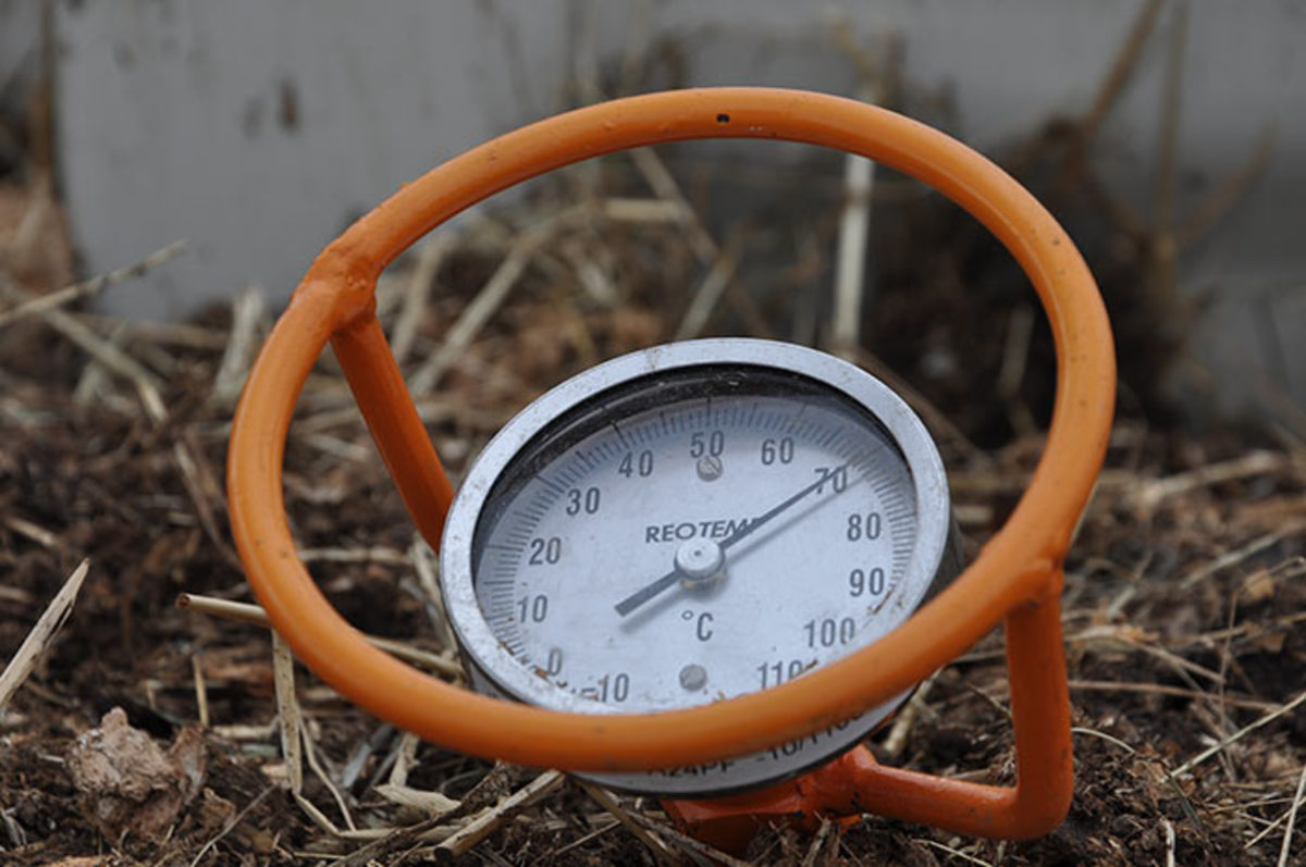 A soil thermometer is an inexpensive tool that can help you sow seeds at the optimum time.