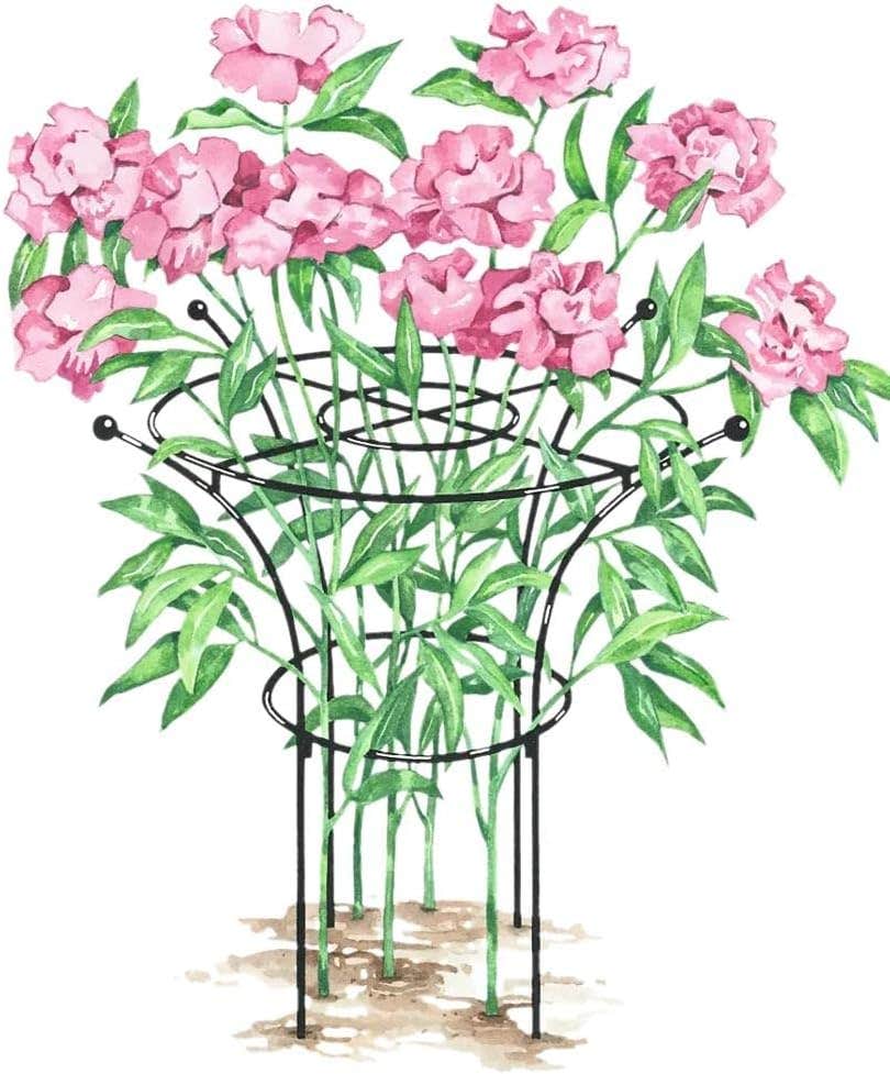 Gardener's Supply Company Essex Plant Support Frame for Peonies