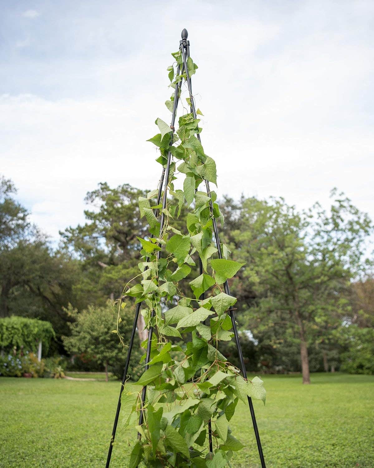 Gardeners Supply Company Extra Tall Garden Teepee Trellis