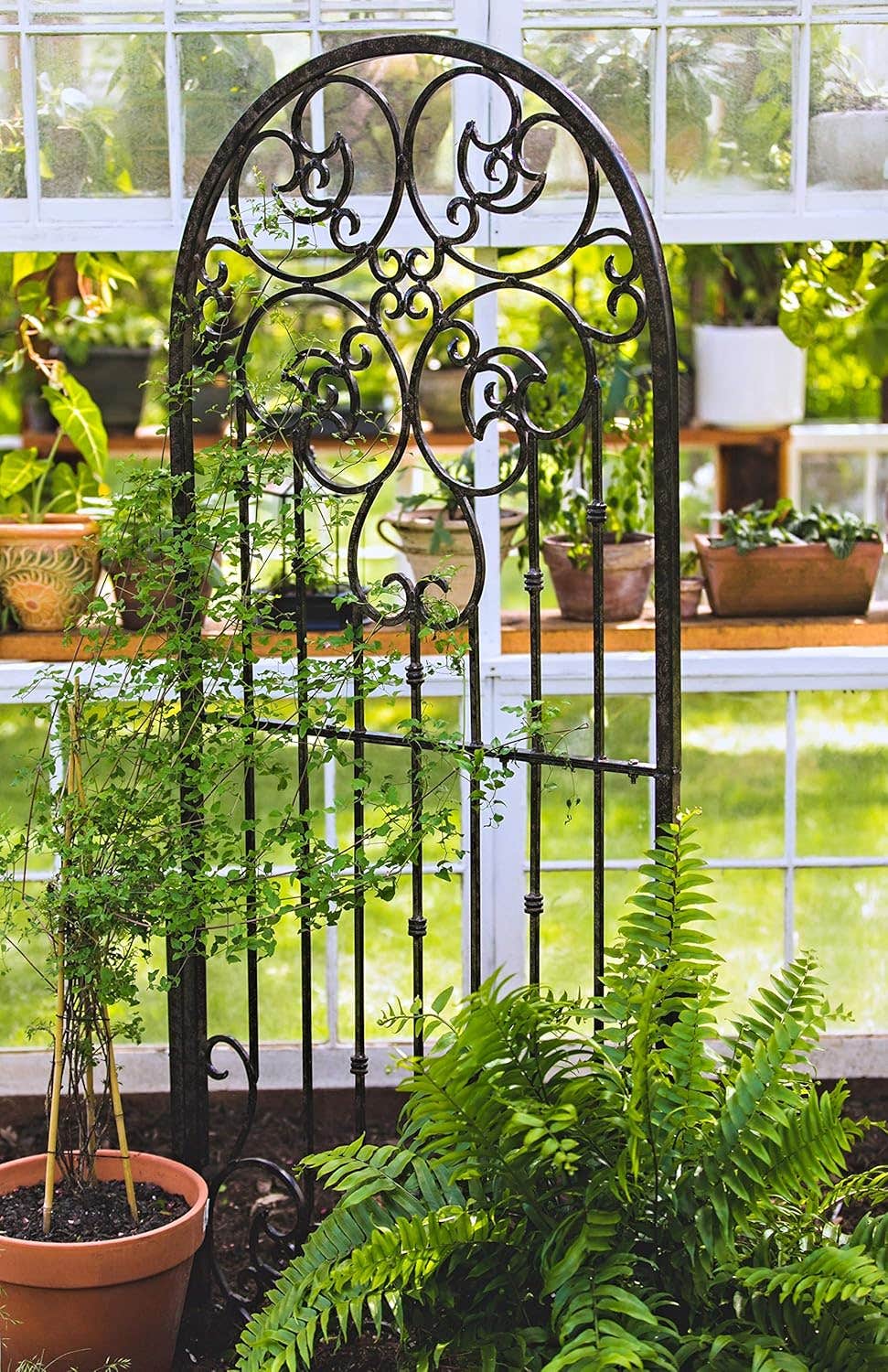 H Potter Garden Trellis