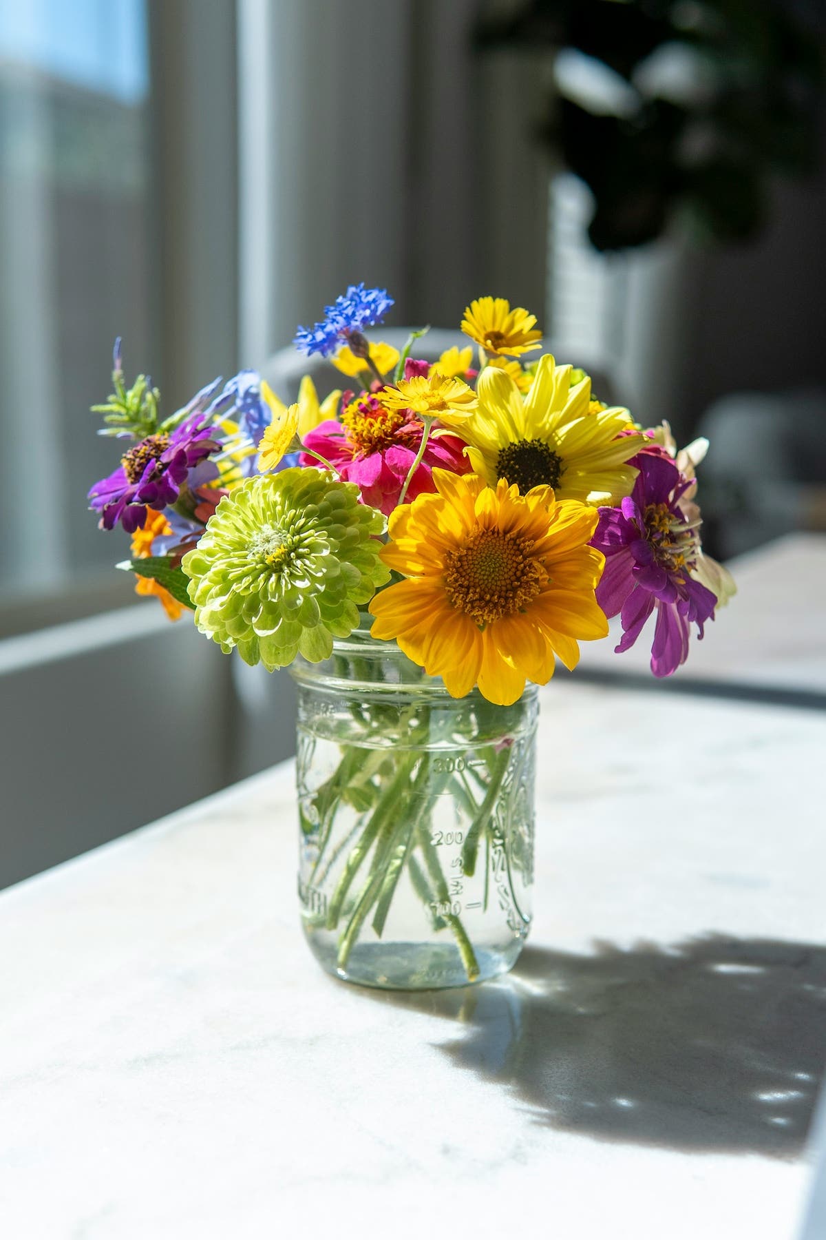 flowers fresh cut from the garden