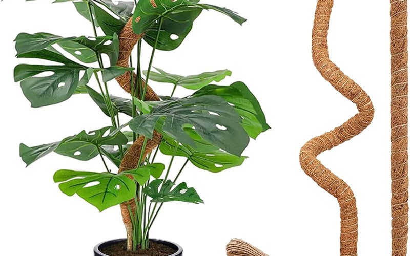 71OrBkkyt9L._AC_SL1500_