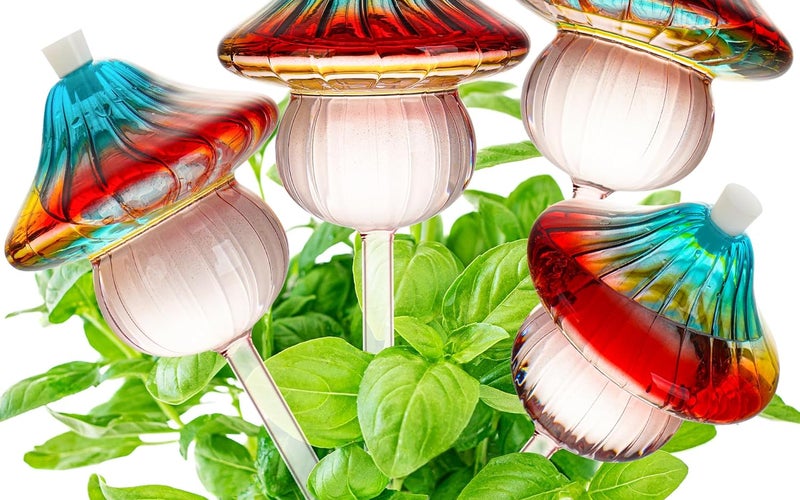 81kgL5jF8IL._AC_SL1500_