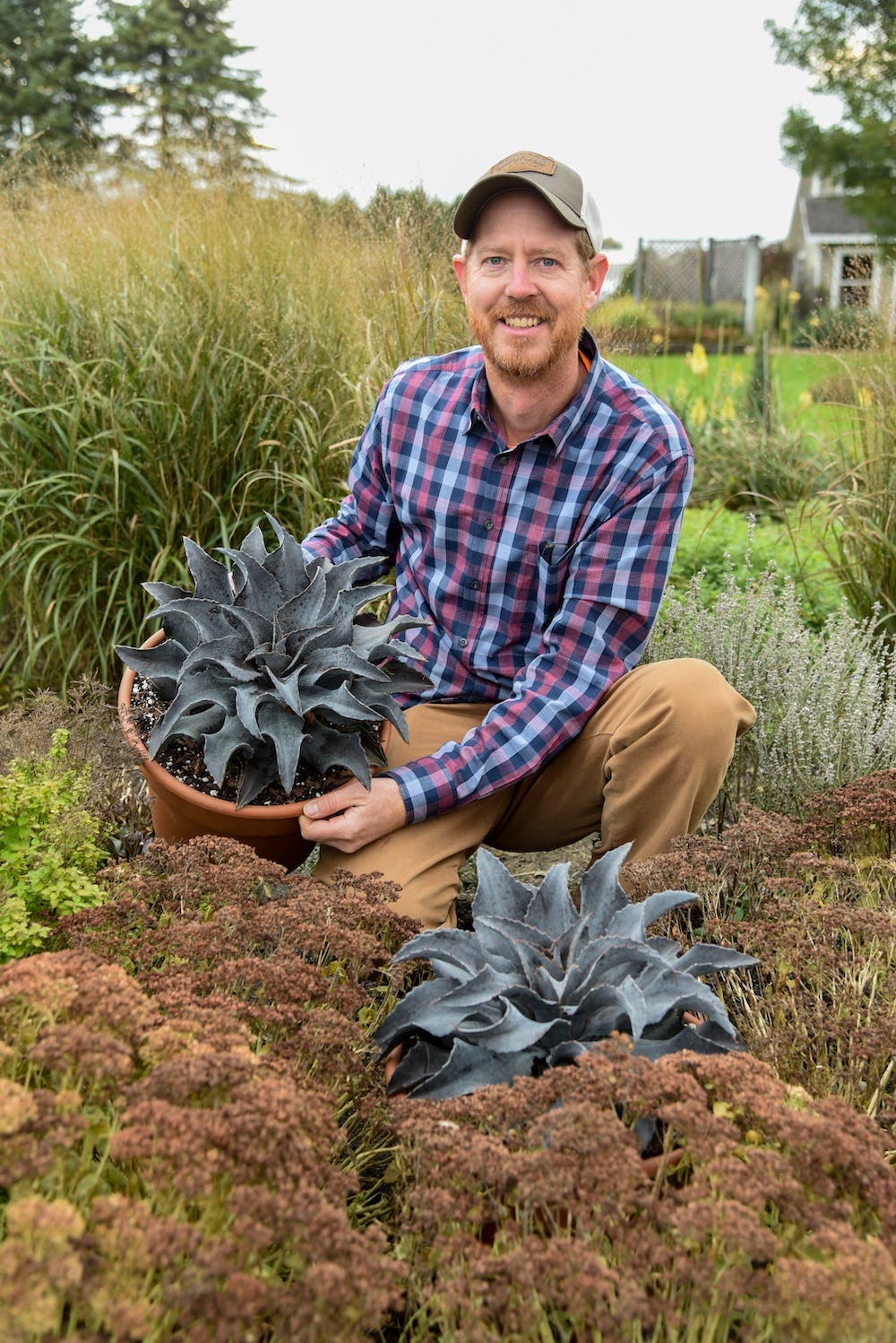 Where Do New Plants Come From? A Talk with Hans Hansen
