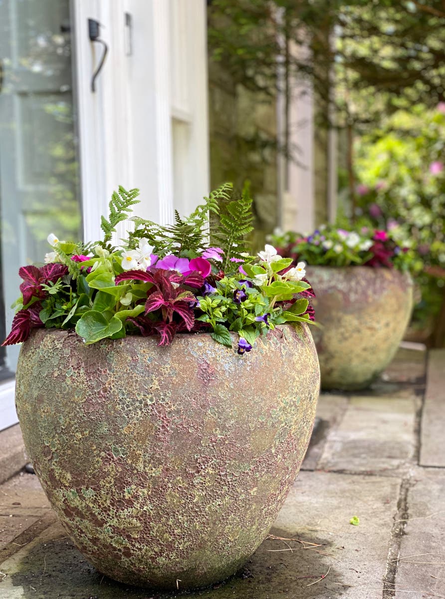 Create Annual Planters that are Dramatic and Full of Color