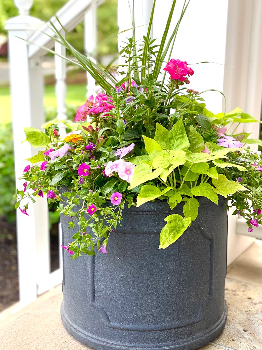 circular container with annual plants garden planter design