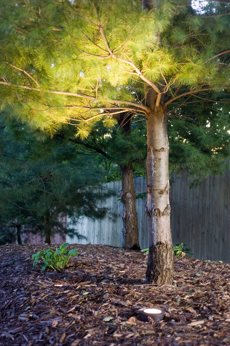 subtle landscape lighting is better for migrating birds