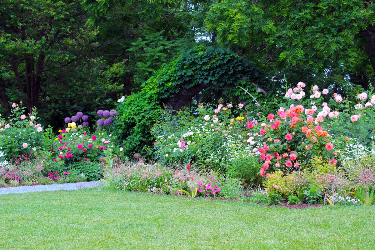 Rose garden at Blithewold