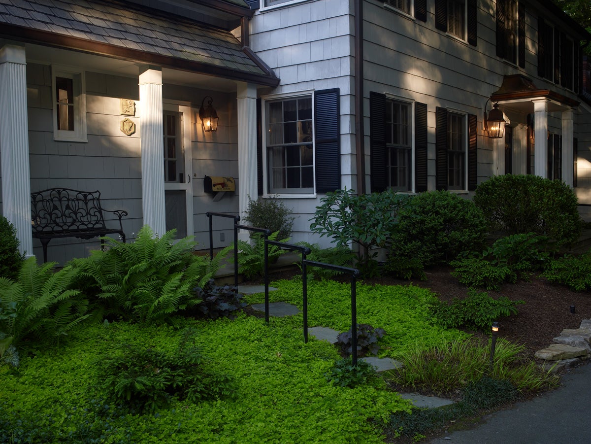 a dark landscape helps preserve pollinators and other insects