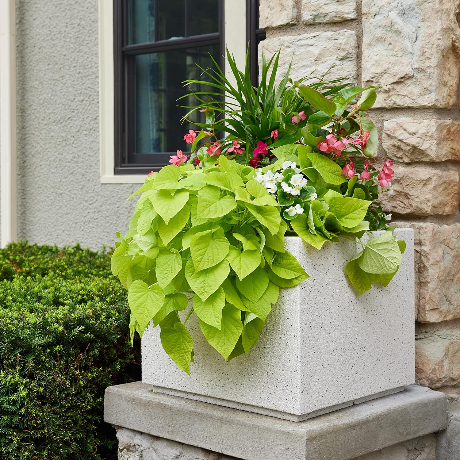 This image has an empty alt attribute; its file name is 91g6xcHgrL._AC_SL1500_.jpg