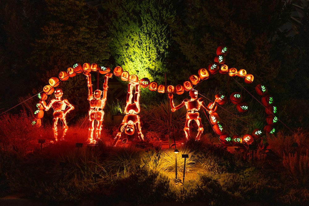 Denver Botanic Gardens’ Glow at the Gardens™ features real, hand-carved, and locally grown pumpkins. Photo by Scott Dressel-Martin, Denver Botanic Gardens