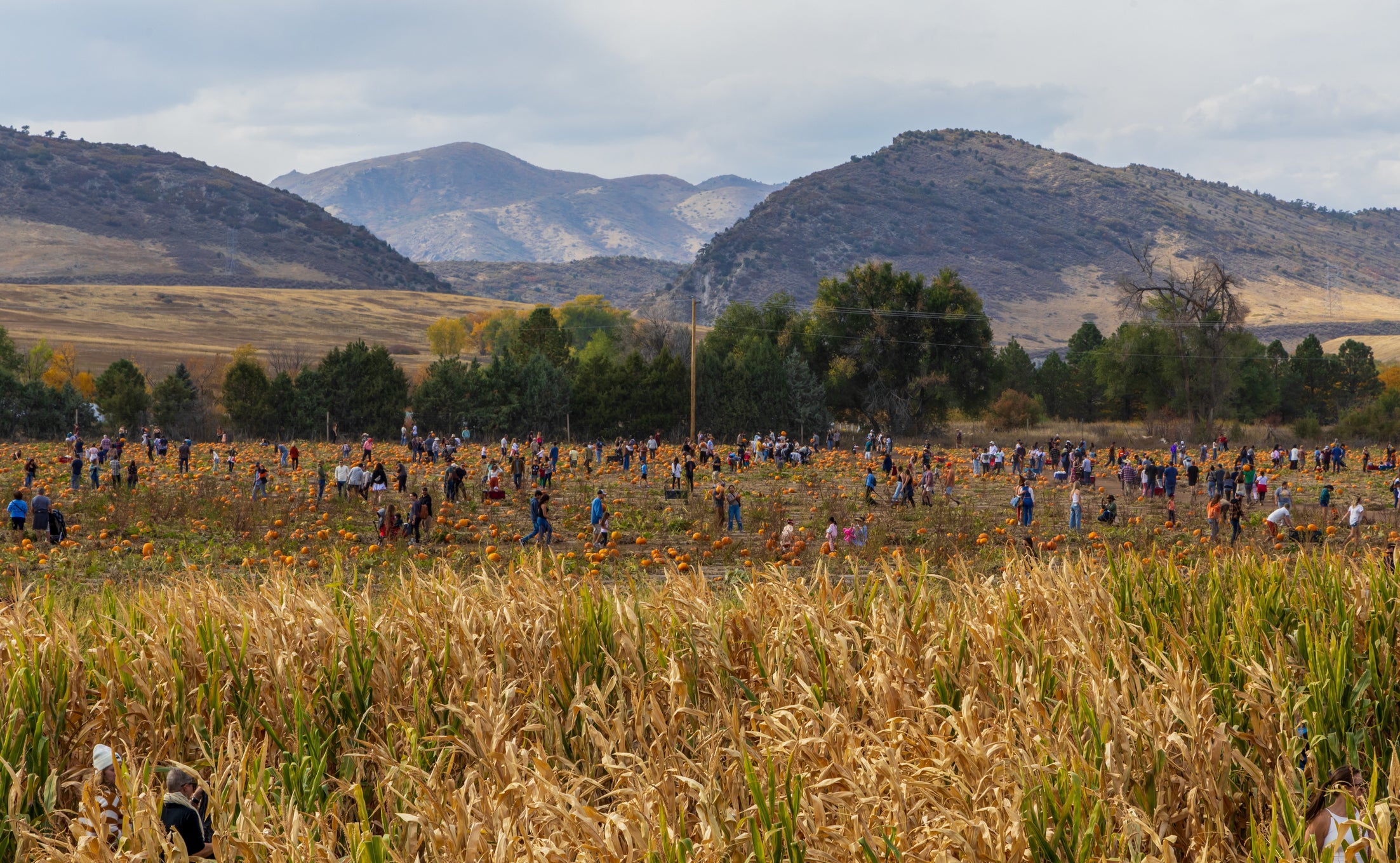 Littleton, Colorado - October 13, 2024: Pumpkin Festival at Chatfield State Park in Littleton, Colorado