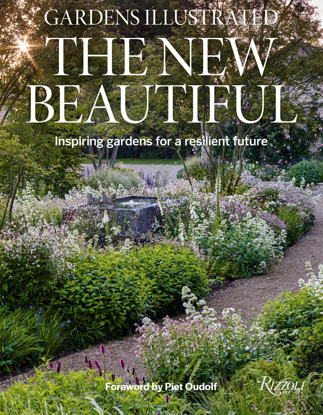 The New Beautiful book Cover artwork