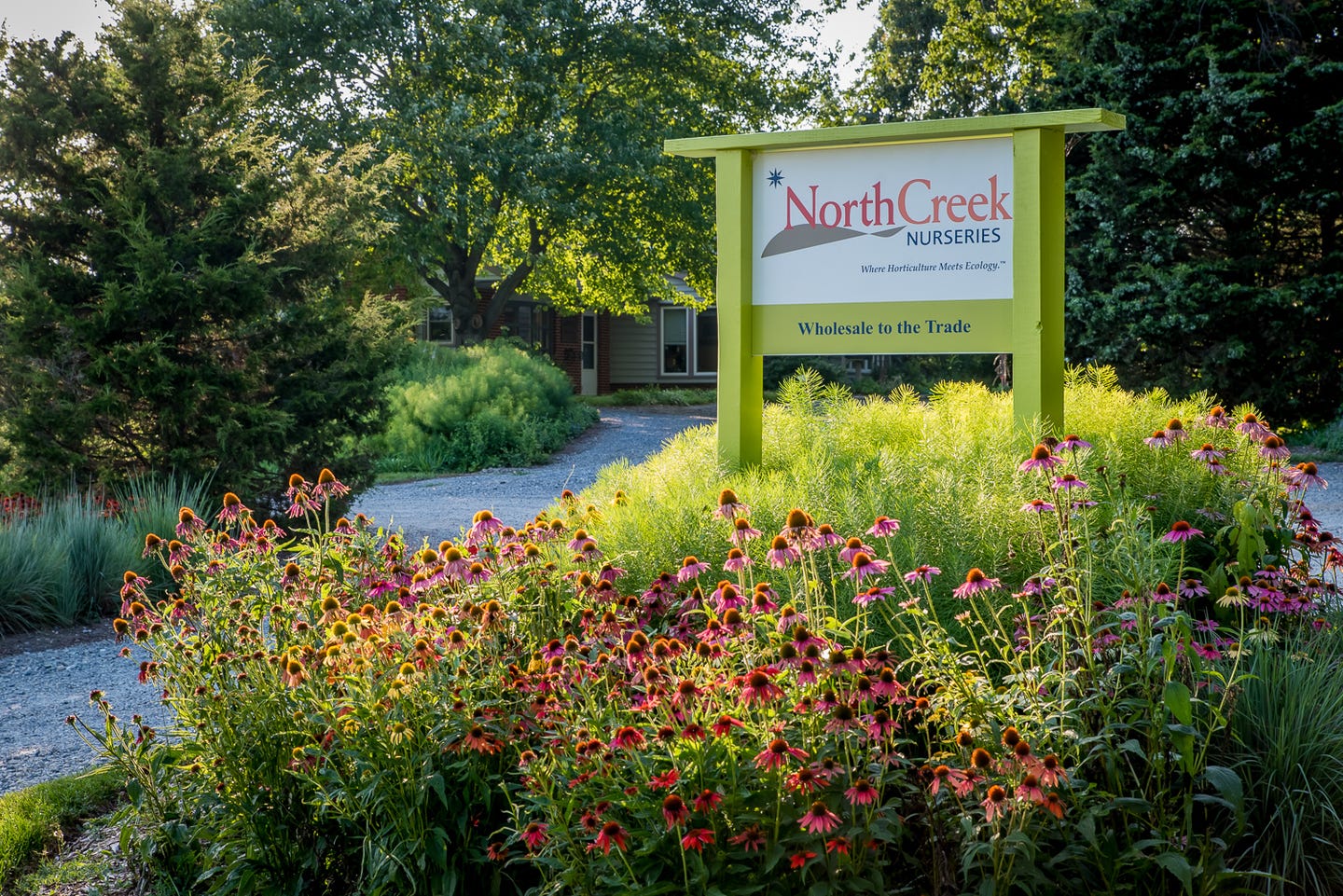 North Creek Nurseries sign
