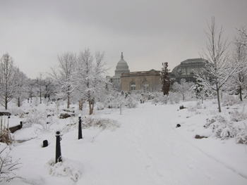 Snowmageddon Hits the United States Botanic Garden